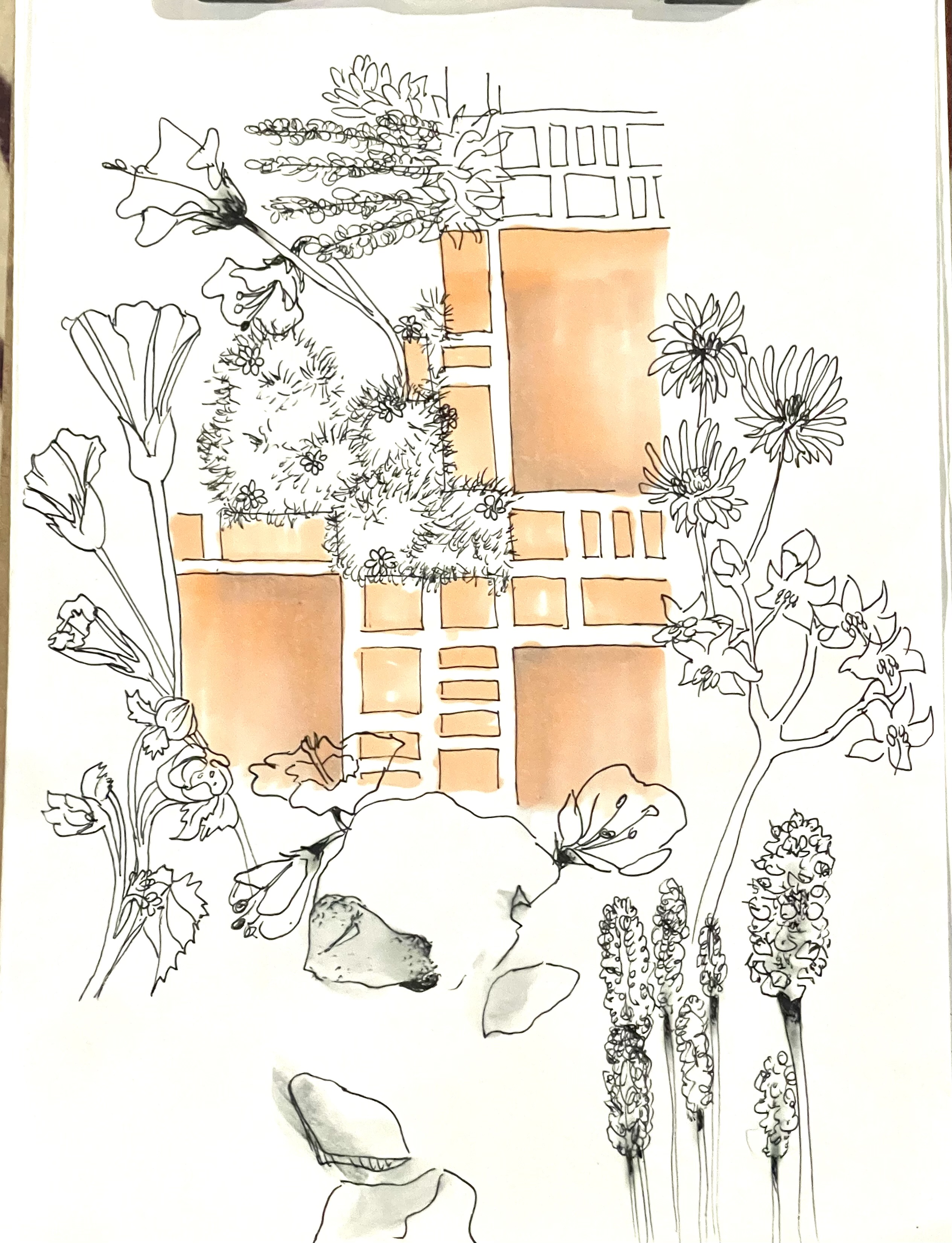 Botanical garden landscape plan
